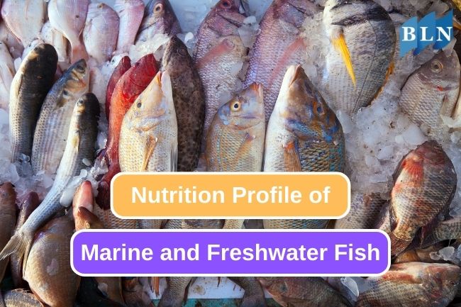 Marine and Freshwater Fish’s Nutrition Comparison